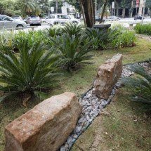 Jardins que combatem enchente: novidade é inaugurada em BH - Imagem: Rodrigo Clemente/PBH