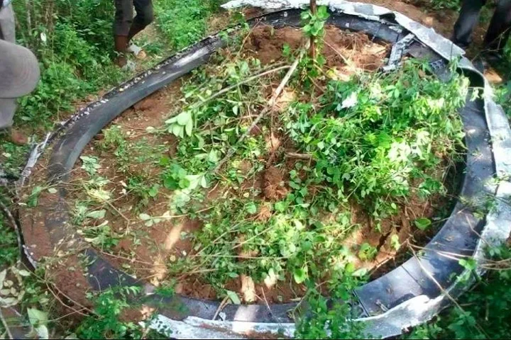 "Anel" de 500 kg cai do espaço em cima de um vilarejo no Quênia - Reprodução/Citizen TV
