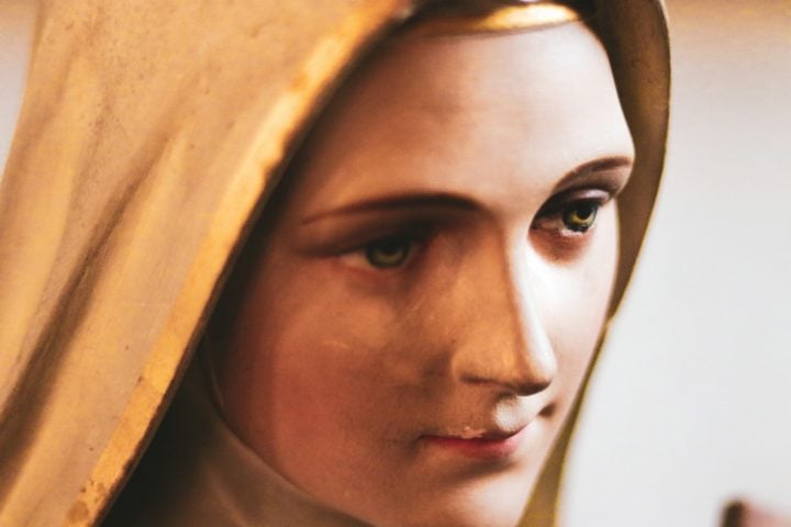 O principal argumento dos religiosos que acreditam Ã©: como alguÃ©m pode saber qual Ã© o DNA da Virgem Maria?