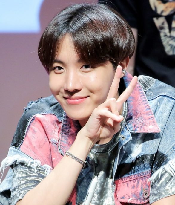J-Hope (Jung Hoseok): J-Hope é o dançarino principal do grupo e também se destaca pelo rap e pela coreografia. Costuma contagiar os fãs com sua personalidade mais divertida.
