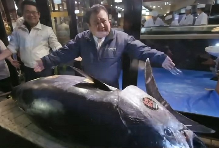 Em 2019, o magnata do sushi Kiyoshi Kimura desembolsou 3,1 milhões de dólares (R$ 18, 3 milhões na cotação atual) por um atum rabilho em leilão realizado em Tóquio. O peixe de 278 kg foi o mais caro da história.
