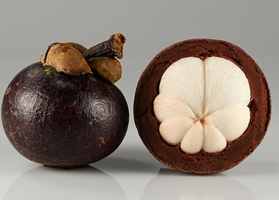 Mangostão (Garcinia mangostana) - Também chamada de "mangostim", é uma fruta tropical originária do Sudeste Asiático, especialmente da região da Malásia, Indonésia e Tailândia. É conhecido como a "rainha das frutas" por sua aparência elegante e sabor requintado. 