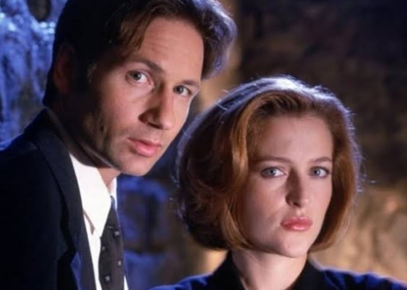 Além da série de TV, dois filmes também integram sua franquia. Arquivo X, lançado em 1998, que ajuda a explorar a história maior narrada pela série, e "Arquivo X ? Eu Quero Acreditar", lançado em 2008, que serve apenas como um evento episódico.
