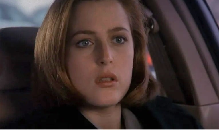Gillian Leigh Anderson nasceu em Chicago, no dia 9 de agosto de 1968, sendo eleita, em 1997, pela revista People como uma das "50 Pessoas Mais Bonitas do Mundo". A atriz tem três filhos: Oscar, Felix Griffiths e Clyde Klotz e mora em Londres, atualmente.