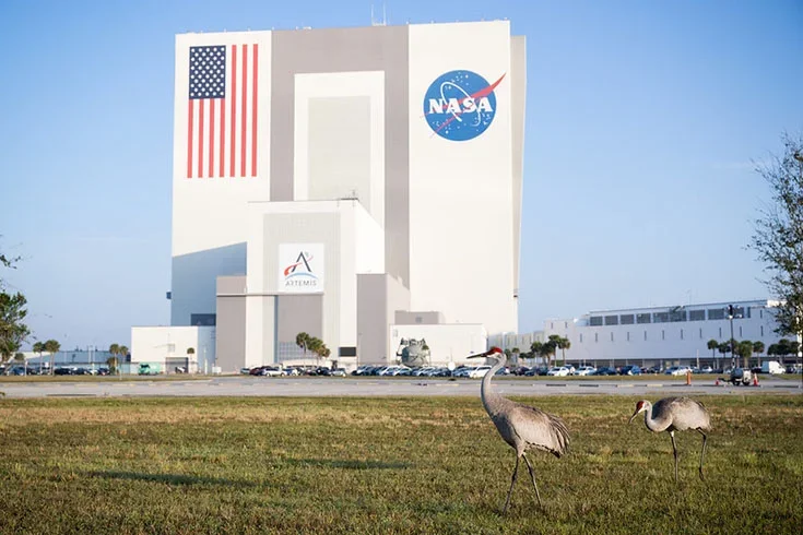 Canal da Nasa tem streaming gratuito com curiosidades sobre o Universo - Divulgação NASA