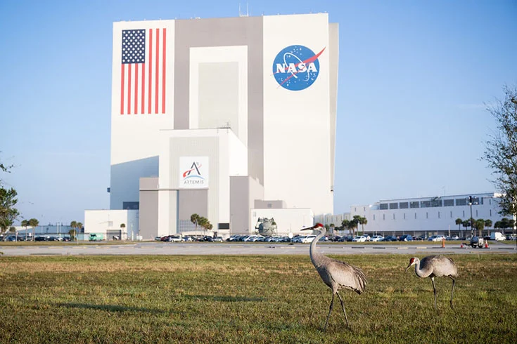 A agência Espacial dos EUA, mais conhecida como NASA, tem um canal que aguça ainda mais a curiosidade de quem gosta de explorar o universo. -  (crédito: Divulgação NASA)