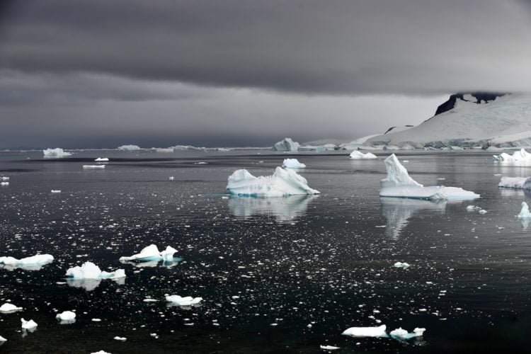 Apesar de serem descobertas empolgantes, os pesquisadores dizem que ainda há muita coisa para desvendar sobre os animais do mar na Antártica.