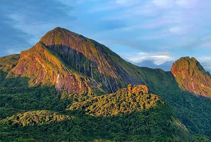 Os pesquisadores passaram 12 dias acampados no topo de uma montanha vizinha ao Pico do Imeri, a quase 1.900 metros de altitude. Eles coletaram a maior diversidade possível de plantas e animais em uma das regiões mais preservadas e menos conhecidas da Amazônia. 