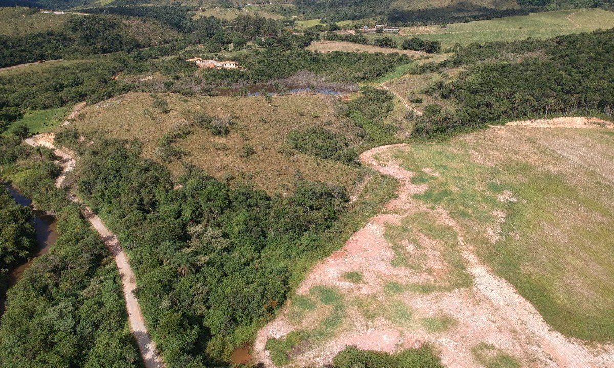 Mata Atlântica madura deu lugar a estradas e a empreendimentos de logística em Acurui    