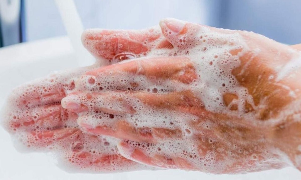 Um procedimento b&aacute;sico, mas que tem a efic&aacute;cia necess&aacute;ria para evitar contamina&ccedil;&atilde;o. Se a pessoa n&atilde;o tiver uma pia dispon&iacute;vel, pode limpar as m&atilde;os com &aacute;lcool em gel - uma pr&aacute;tica que acabou sendo difundida durante a pandemia da Covid-19   -  (crédito: Divulga&ccedil;&atilde;o)