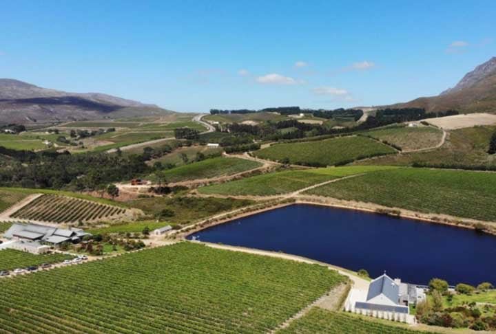 Além disso, há a possibilidade de aproveitar caminhadas locais e os safáris de bicicleta. O clima frio é propício e ideal para a produção dos vinhos Chardonnays e Pinot Noirs 