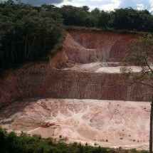 Mata Atlântica mineira não está segura nem nas unidades de conservação