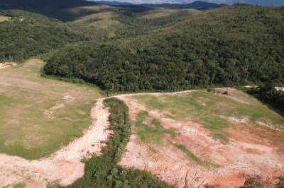Minas registra aumento de desmatamento da Mata Atlântica -  (crédito: Mateus Parreiras/EM/D.A.press)
