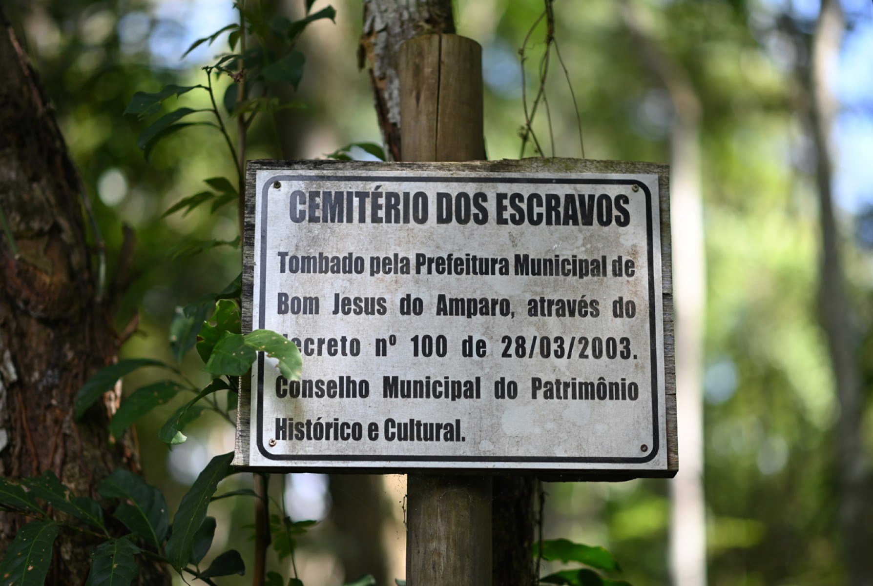 Expectativa é tornar o cemitério Patrimônio Histórico Nacional 