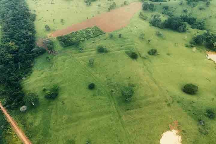 À Agência de Notícias do Acre, Antônia Barbosa, arqueóloga do Iphan, declarou que dos 426 geoglifos registrados menos de 20 foram objeto de pesquisas até o momento. 

