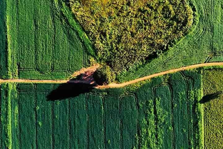 Povos indígenas que vivem nessas áreas declararam a pesquisadores que não passam por esses desenhos por os considerarem ambientes sagrados.
