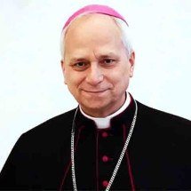 Pontos fortes de Chicago, a cidade natal do papa Leão XIV - Reprodução / Vaticano News