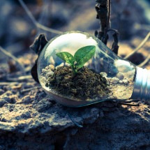 Sustentabilidade guia escolhas de 67% dos brasileiros - DINO