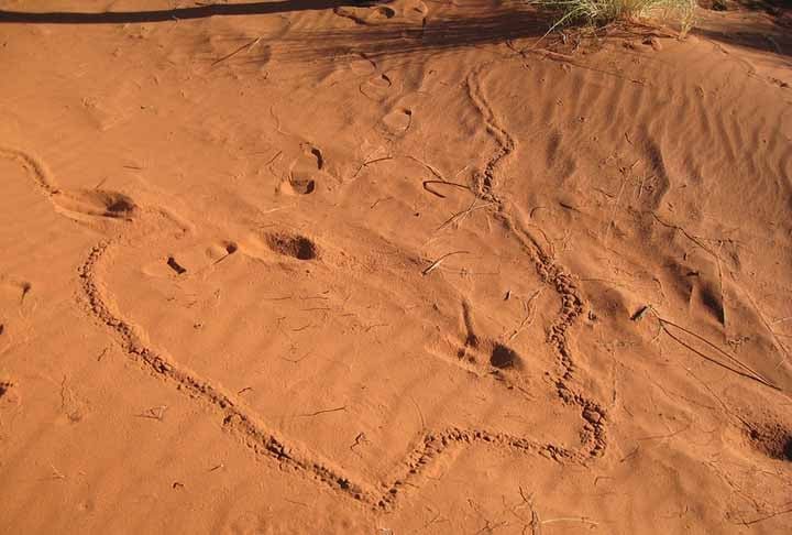 O grupo chama a atenção para a proteção da região onde ocorreu a descoberta. Atualmente, o espaço está ameaçado pela expansão da extração de diamantes.