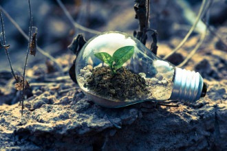 Sustentabilidade guia escolhas de 67% dos brasileiros