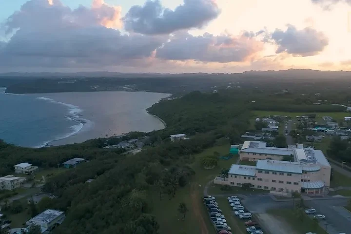 Alarme ligado: Cobras viram "donas" de ilha no Pacífico - reprodução/youtube