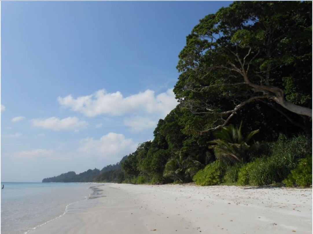 19) Radhanagar (Ilhas Andaman, Índia): Em 2004, a revista Time classificou a Praia de Radhanagar como a "Melhor Praia da Ásia". Até a National Geographic incluiu o local em sua lista das "10 Melhores Praias do Mundo"...
