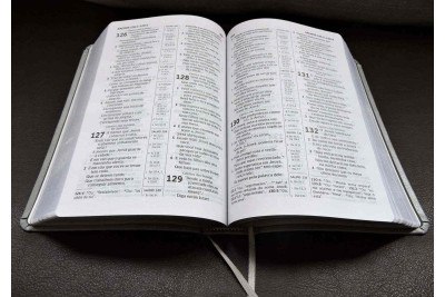 Frutal aprova Lei sobre leitura da Bíblia nas escolas municipais -  (crédito: Creative/Commons)