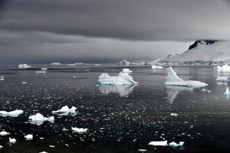 Apesar de serem descobertas empolgantes, os pesquisadores dizem que ainda há muita coisa para desvendar sobre os animais do mar na Antártica.