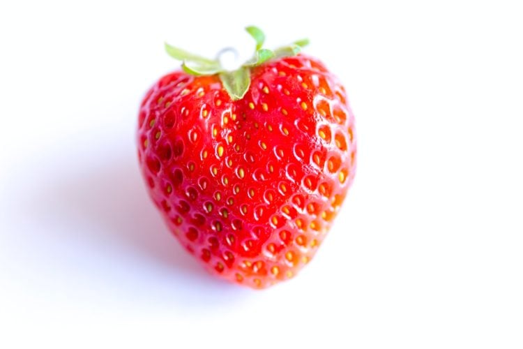 O corpo central desse animal parece mesmo um morango, com 20 braços que saem dele. Além disso, sua cor natural pode variar, indo de roxo a vermelho bem escuro.