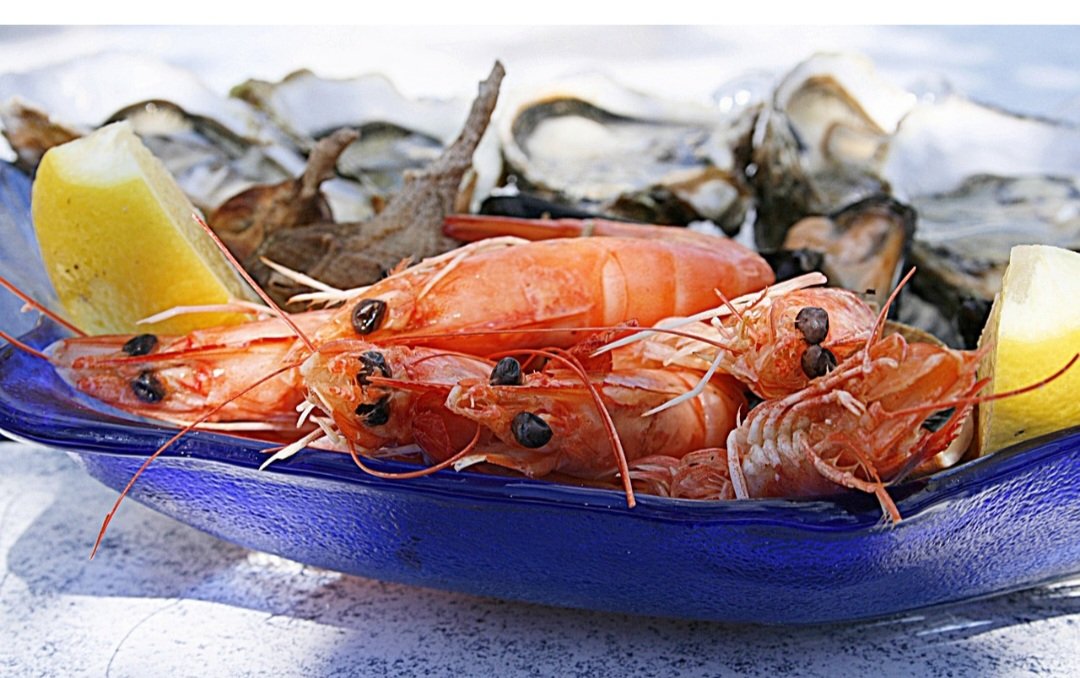 Todos os animais pertencentes a esse filo possuem sistema nervoso, formado pro gânglios cerebrais bem desenvolvidos, de onde parte o cordão nervoso central ganglionar. 