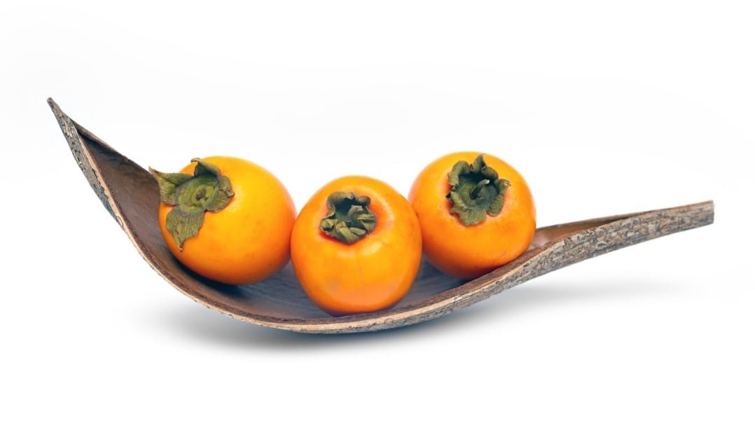 Os principais tipos de caqui cultivados no Brasil sÃ£o o Fuyu, o Rama Forte, o Giombo (tambÃ©m conhecido como Caqui Chocolate) e o TaubatÃ©. Estes caquis diferem na consistÃªncia da polpa, na cor da casca e no sabor. 