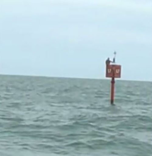 Ela leva em conta a saúde da população de peixes, assim como o impacto ambiental e uma gestão eficaz de tal atividade. Existem, portanto, determinados fatores ecológicos que naturalmente influenciam na quantidade de pesca disponível para consumo.