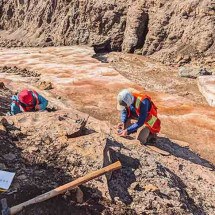 Inteligência Artificial descobre um dos maiores depósitos de cobre do planeta -  Divulgação