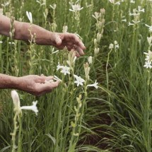 Viagem olfativa: por R$ 45.5 mil, respire a alta perfumaria francesa