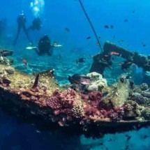 Arqueólogo descobre tesouro em navio naufragado - reprodução/The Daily Galaxy/Great Discoveries Channel