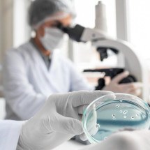 Biópsia embrionária: você sabe o que é? - FreePik