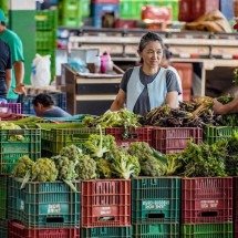 Agrotóxicos em alimentos estão na mira da Anvisa; saiba o que isso significa - Rafa Neddermeyer/Agência Brasil