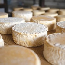 Queijo em Minas Gerais ganha prêmios com apoio da Anglo American - Divulgação Anglo American