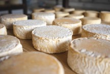 Queijo em Minas Gerais ganha prêmios com apoio da Anglo American