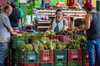 Agrotóxicos em alimentos estão na mira da Anvisa; saiba o que isso significa