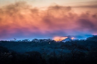 Desmatamento cai em todos os biomas do Brasil pela primeira vez em 6 anos