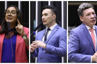 Duda Salabert, Pedro Aihara e Reginaldo Lopes já apresentaram projetos para regulamentação das bets -  (crédito: Vinicius Loures, Kayo Magalhães/Câmara dos Deputados)