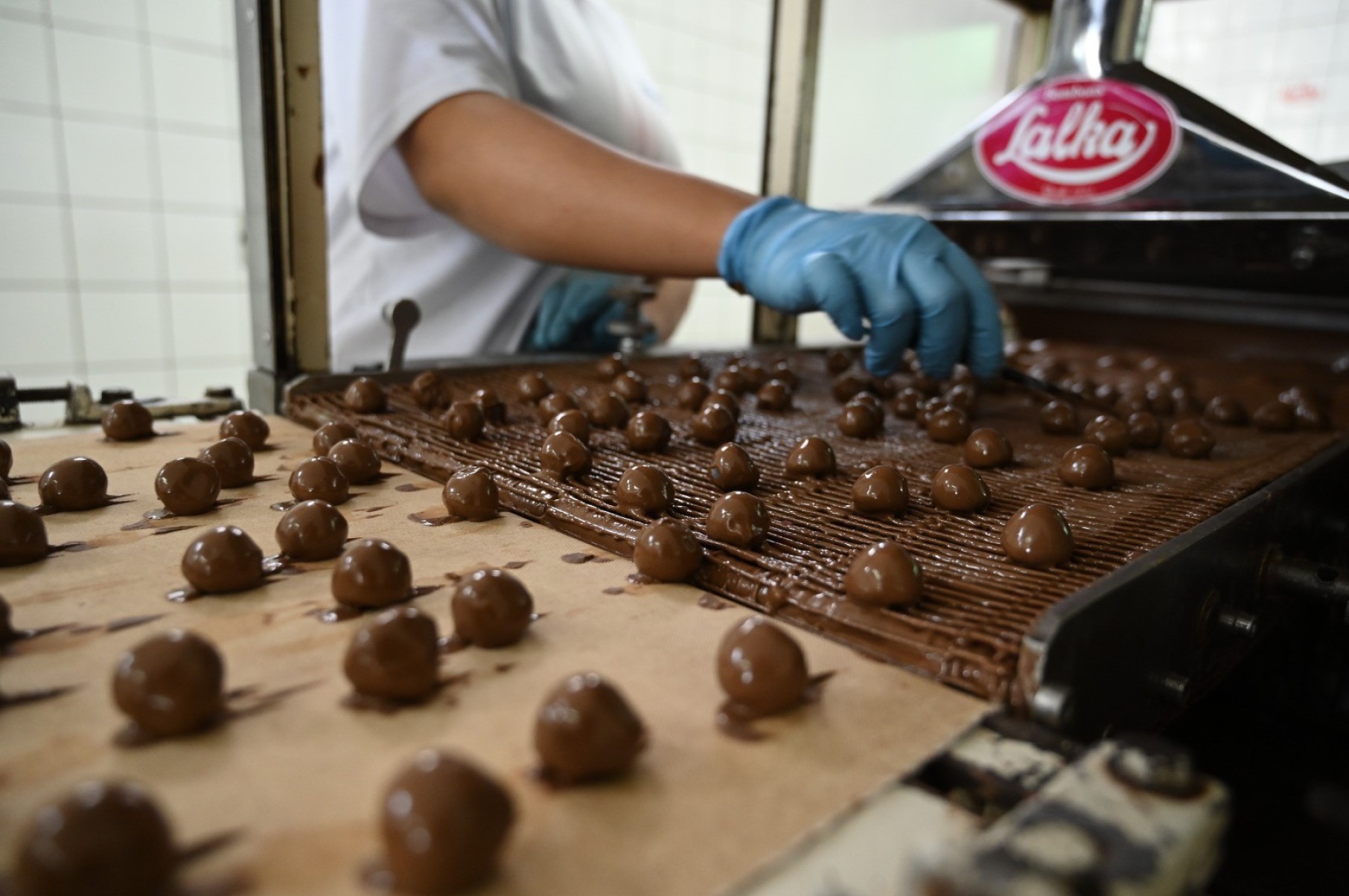 Os licorzinhos passam pela cobrideira, onde são envolvidos com uma fina camada de chocolate Os licorzinhos passam pela cobrideira, onde são envolvidos com uma fina camada de chocolate
