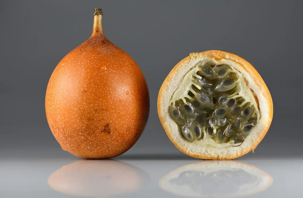 Granadilha (Passiflora ligularis) - Chamada de "maracujá-doce", é nativa das regiões montanhosas da América do Sul, especialmente dos Andes, abrangendo  Colômbia, Equador, Peru, Bolívia e Venezuela.  A granadilha prefere climas tropicais de altitude, com temperaturas amenas e sem geadas,  entre 1.000 e 2.500 metros.