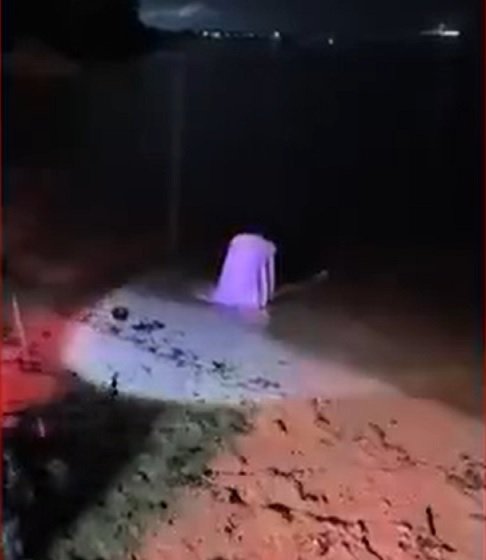 As imagens do momento misterioso viralizaram nas redes sociais e tiveram mais de 7,5 milhões de visualizações 