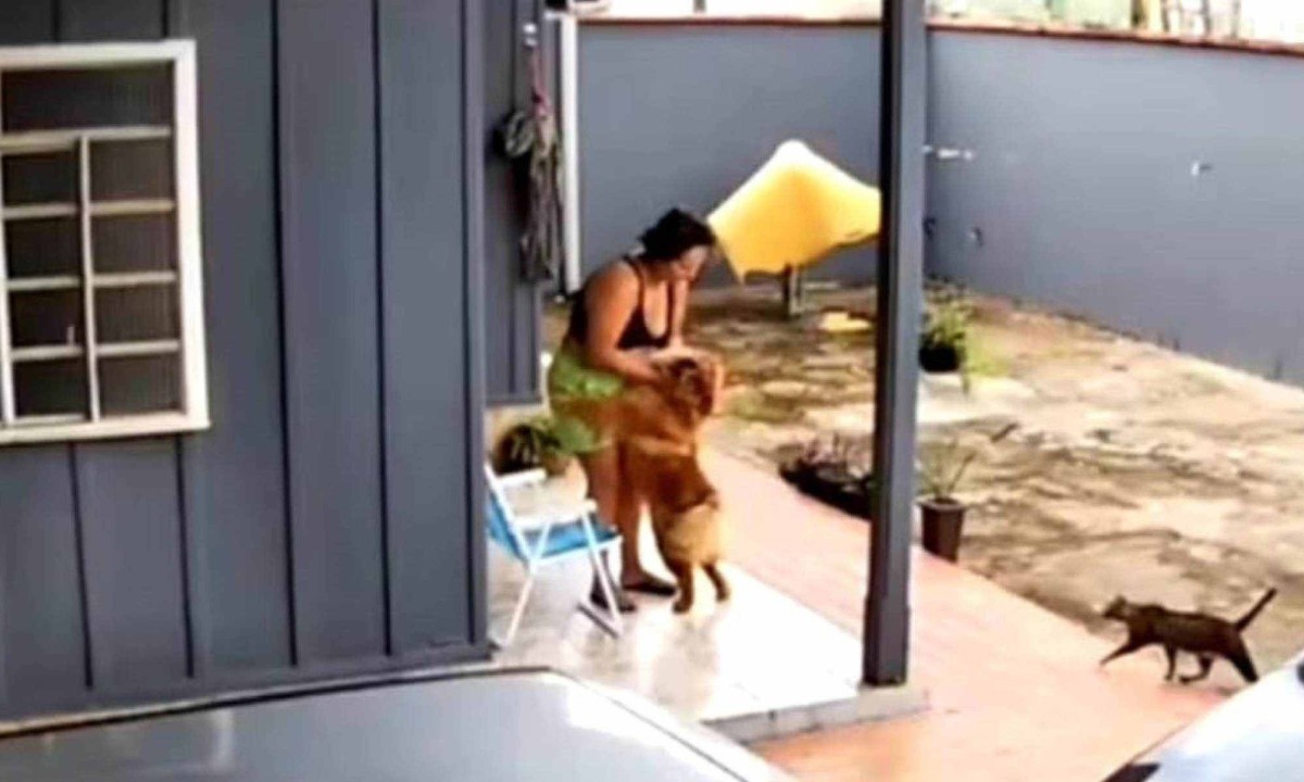 Imagem da câmera de segurança da casa de Natani Imagem da câmera de segurança da casa de Natani