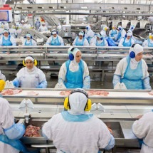 China suspende compra de frango do Brasil depois de foco de gripe aviária - Rodrigo Fonseca/AFP