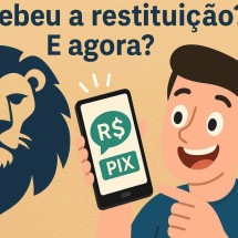 Restituição do Imposto de Renda não é um bônus. Use com inteligência! - Reprodução Educando seu Bolso