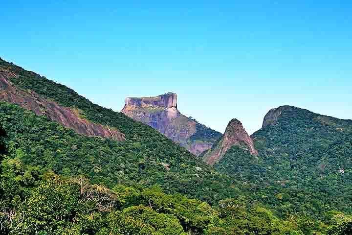 Com cerca de 39 quilômetros quadrados, a floresta faz parte do Parque Nacional da Tijuca e é um verdadeiro santuário ecológico.