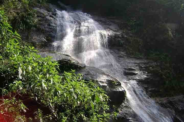 A floresta também abriga diversos atrativos naturais e históricos, como a Cascatinha Taunay, a Pedra da Gávea e o Pico da Tijuca (o ponto mais alto da floresta, com 1.021 metros de altitude).